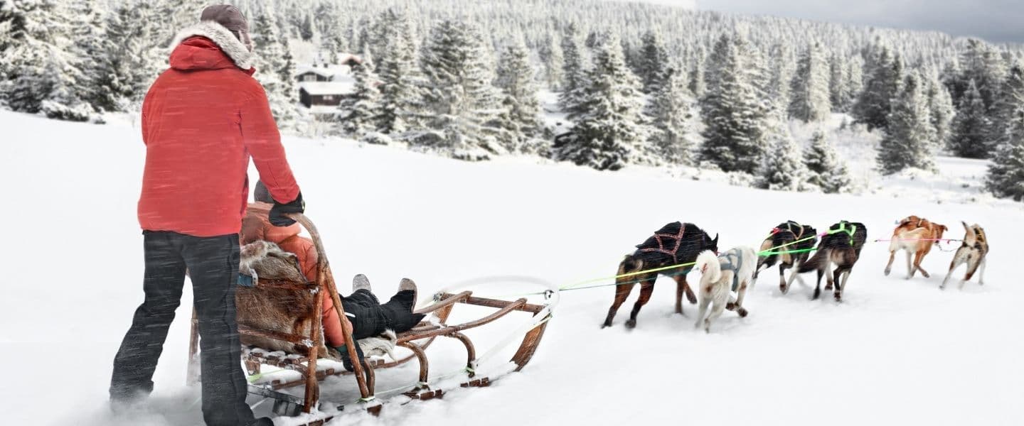 Husky tour in Norway